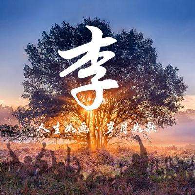 剑落星辰乐牛版下载